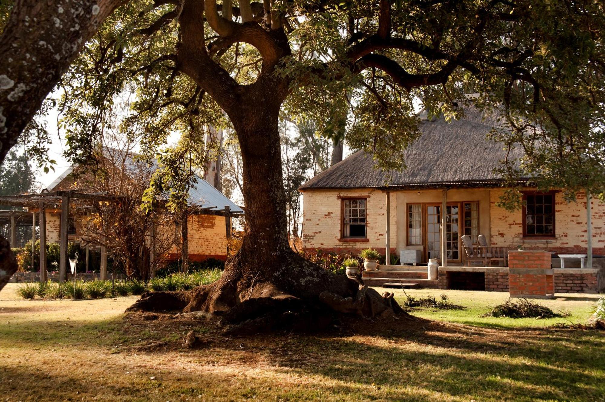 Dalmore Guest Farm Bergville Exterior photo